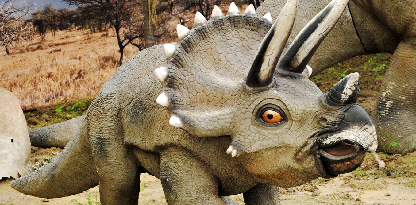 Dinosaurios_Park,_Triceratops_young_1356